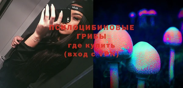 герыч Осинники