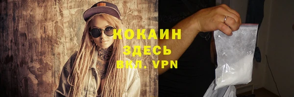 винт Осташков