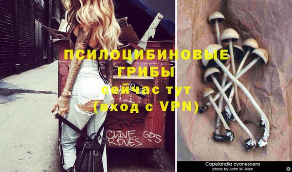 MESCALINE Остров