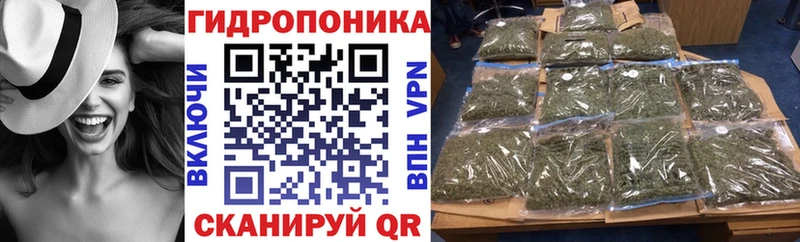 Канабис SATIVA & INDICA  Чегем 